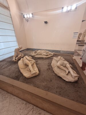 WhatsApp Image 2024-06-01 at 18.22.42